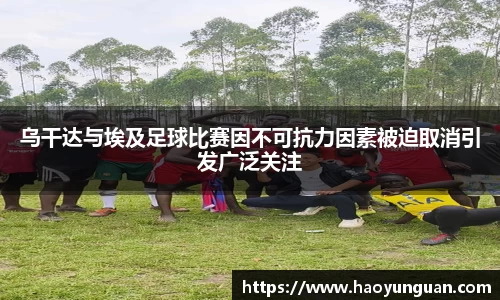 乌干达与埃及足球比赛因不可抗力因素被迫取消引发广泛关注