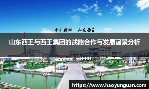 山东西王与西王集团的战略合作与发展前景分析