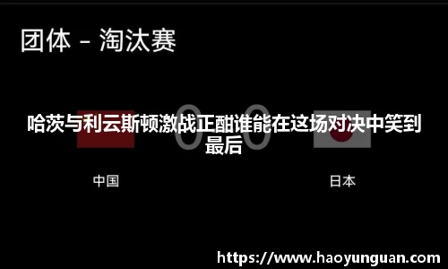 智博19