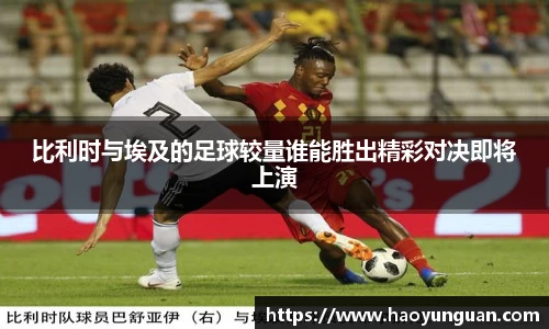智博19