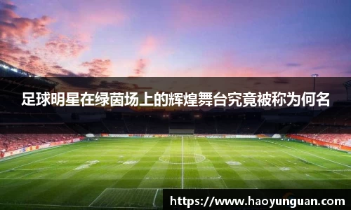 足球明星在绿茵场上的辉煌舞台究竟被称为何名